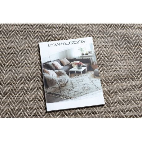 Carpet SISAL BOHO 46213051 beige 80x150 cm - Isotmatot.fi